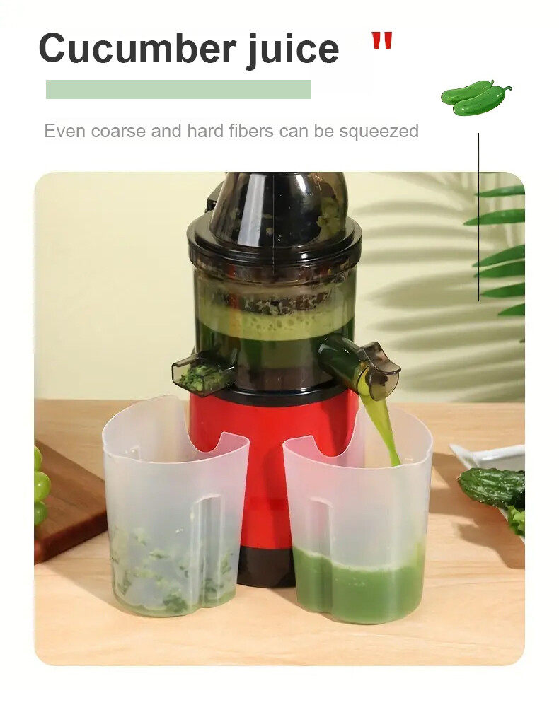 Multifunctional Juice Extractor