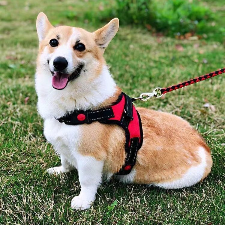 Medium and large vest style harness traction rope